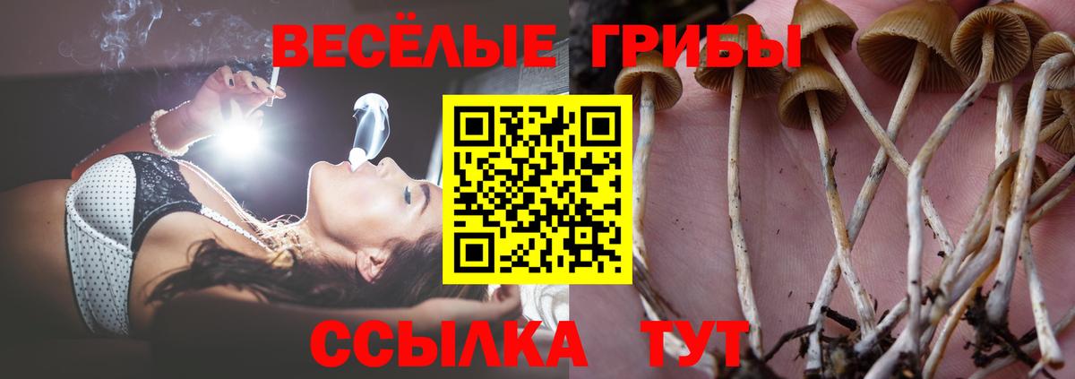 Псилоцибиновые грибы мухоморы  Вход с VPN  Гусь-Хрустальный 